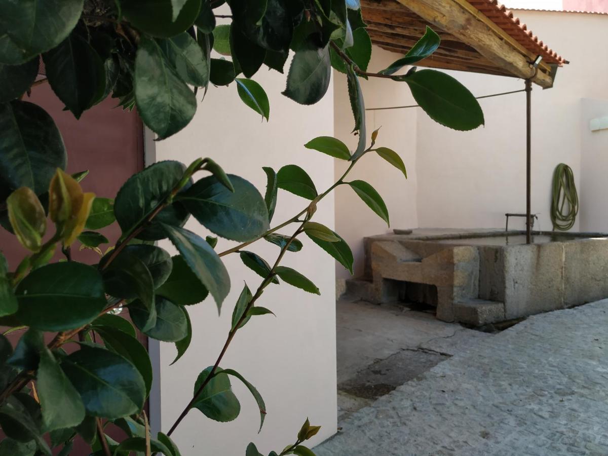 Entresocalcos Hostel ลอริกา ภายนอก รูปภาพ